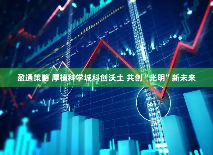 盈通策略 厚植科学城科创沃土 共创“光明”新未来