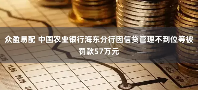 众盈易配 中国农业银行海东分行因信贷管理不到位等被罚款57万元