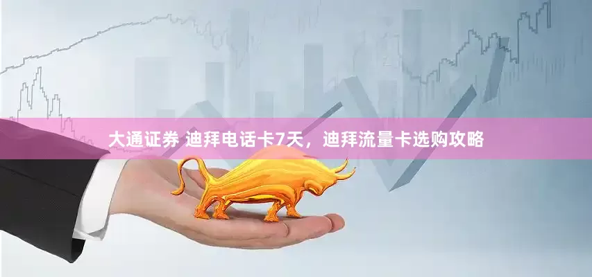 大通证券 迪拜电话卡7天，迪拜流量卡选购攻略